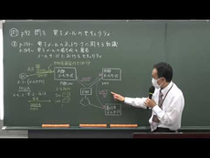 動画サムネイル画像