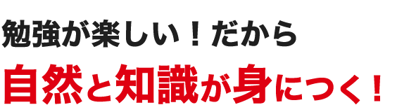 勉強が楽しい!だから自然と知識が身につく！